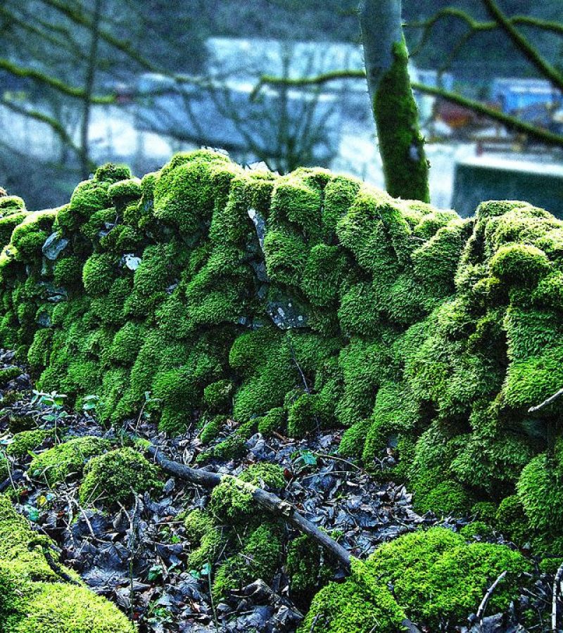 074fbcdbc28a6f8159ee2e559ceb8232