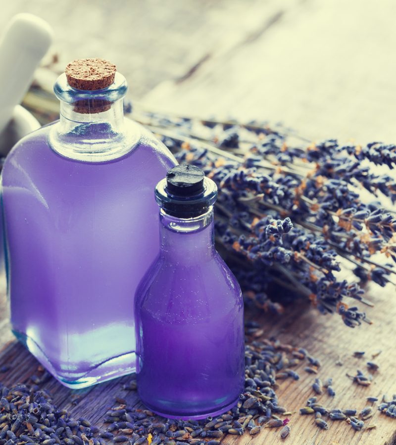 9489-Fabuloso-Lavender-Fragrance-Oil-386 9489-Fabuloso-Lavender-Fragrance-Oil-386