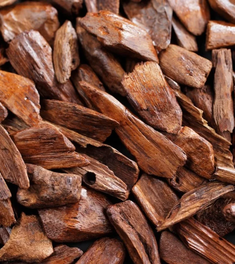 Depositphotos_59723331_xl-2015