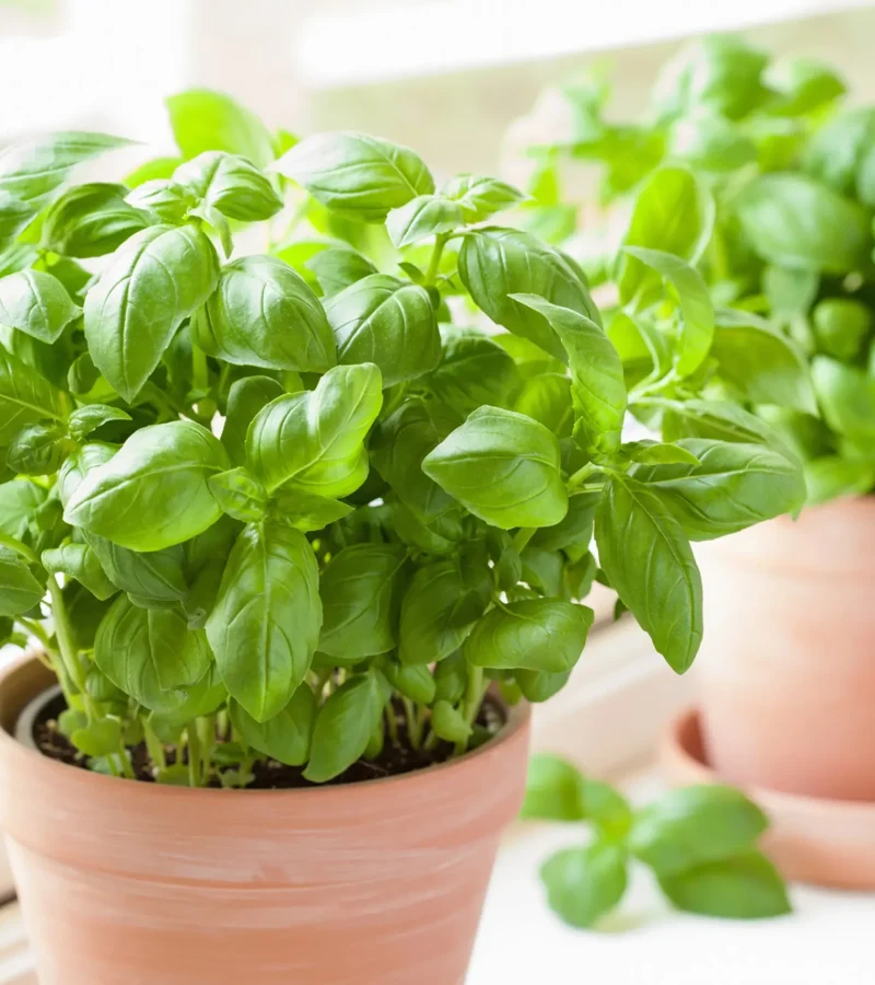 GettyImages-927893926