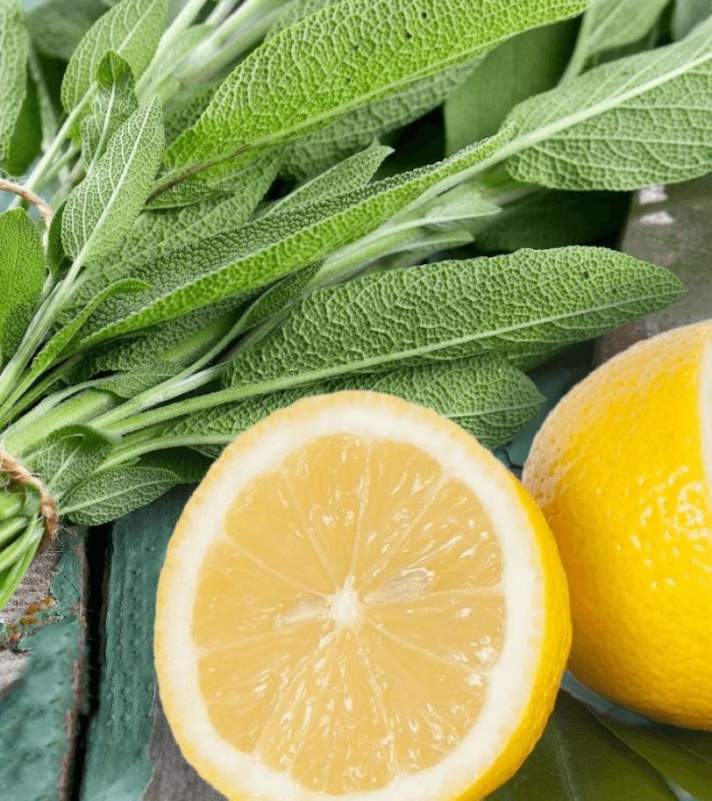 Sage-Citrus