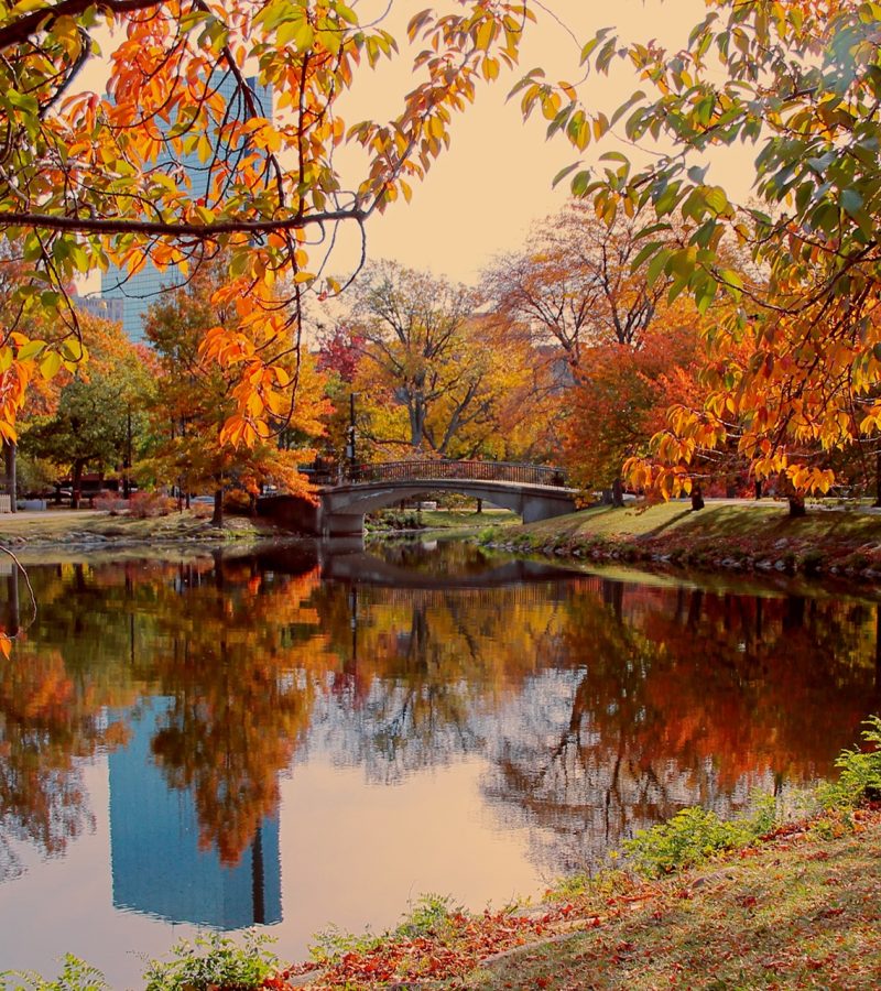 dreamstime_l_88081002