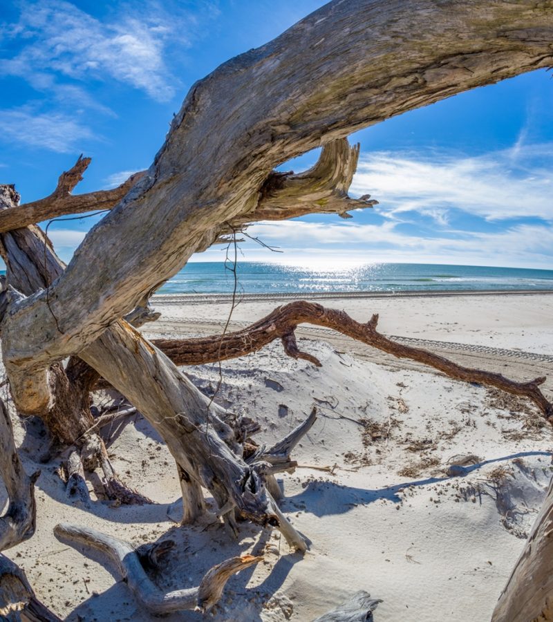 dreamstime_xl_136737239