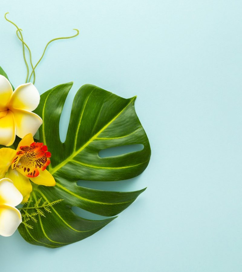 dreamstime_xl_269433291