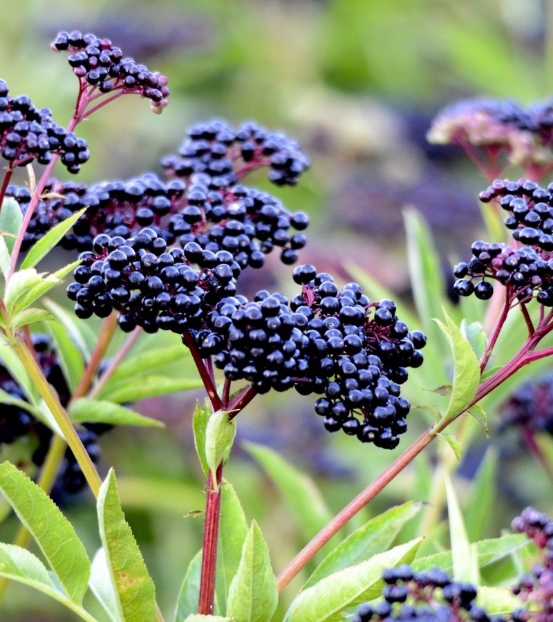 dreamstime_xl_58785488