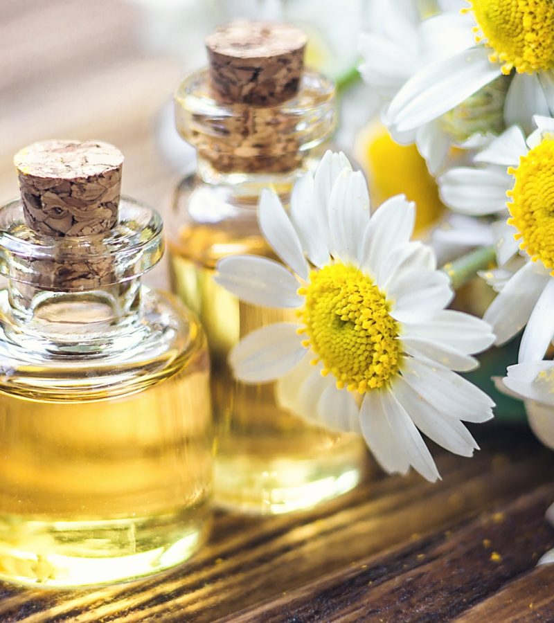 dreamstime_xxl_107317067