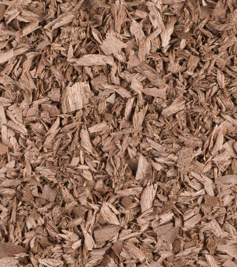 dreamstime_xxl_12296375