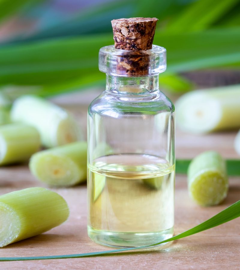 dreamstime_xxl_123311052