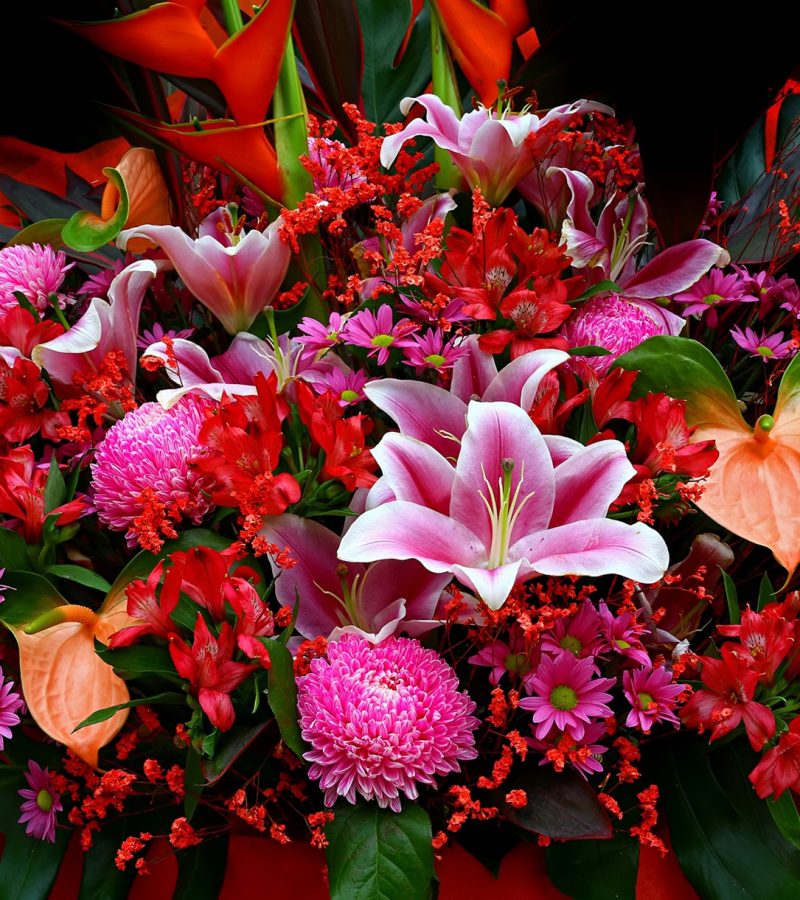 dreamstime_xxl_128732764