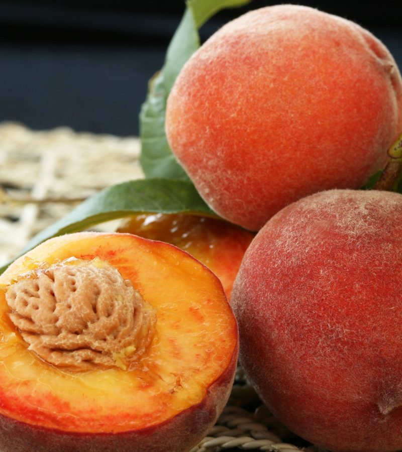 dreamstime_xxl_14532018