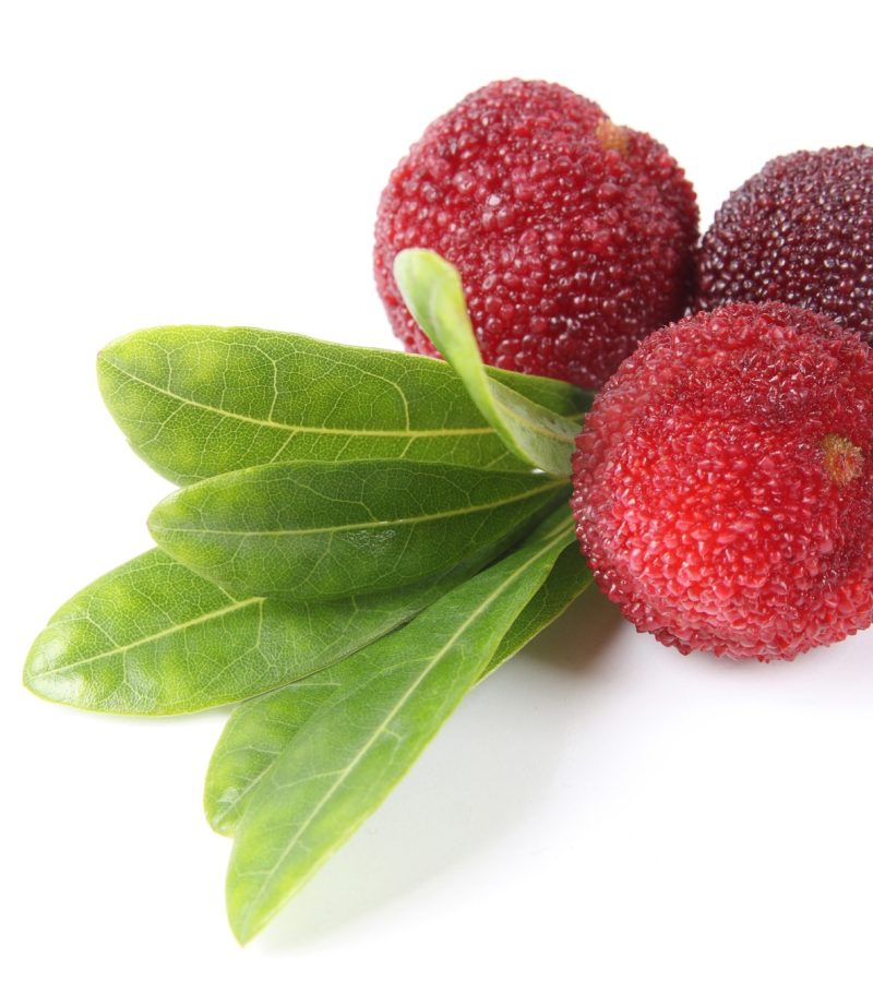 dreamstime_xxl_14587747