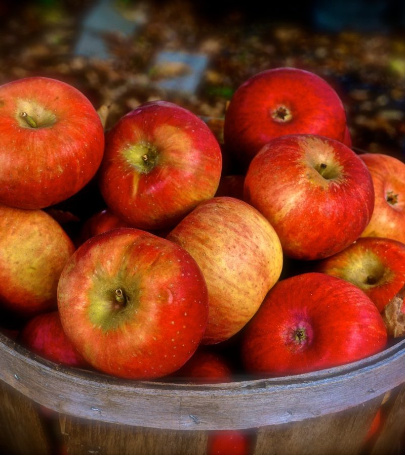 dreamstime_xxl_169034925