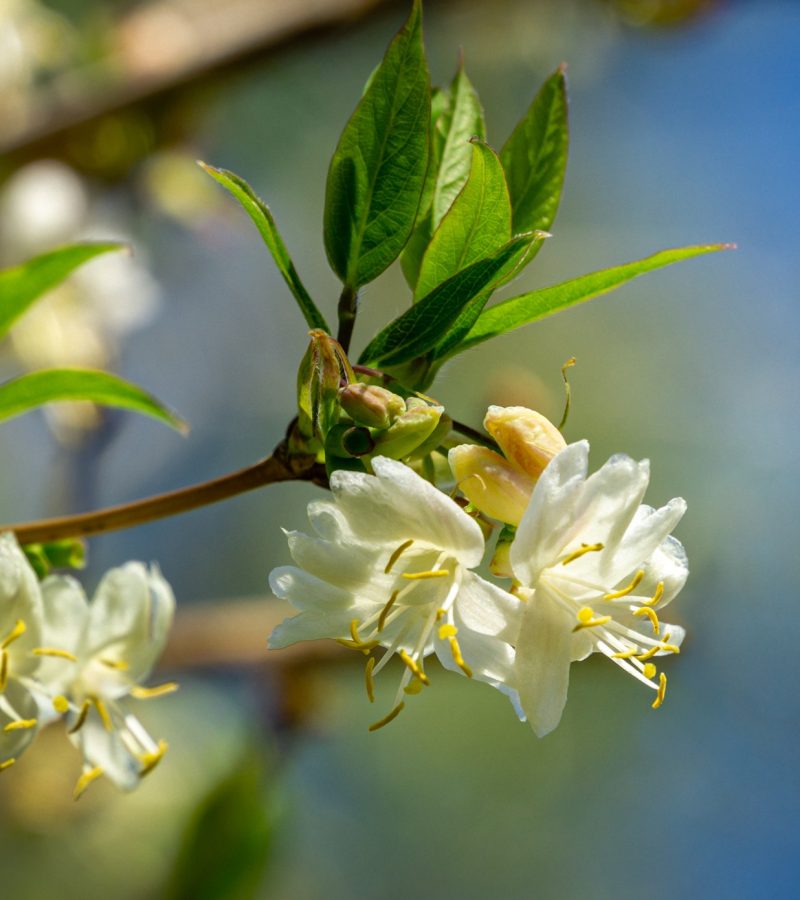 dreamstime_xxl_194580901