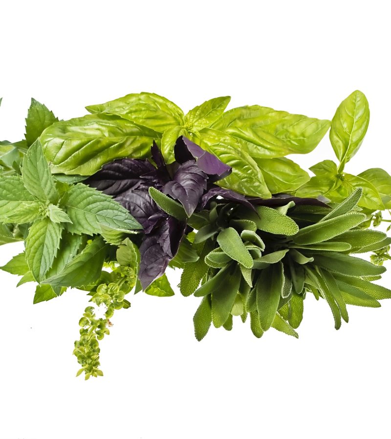 dreamstime_xxl_41182615