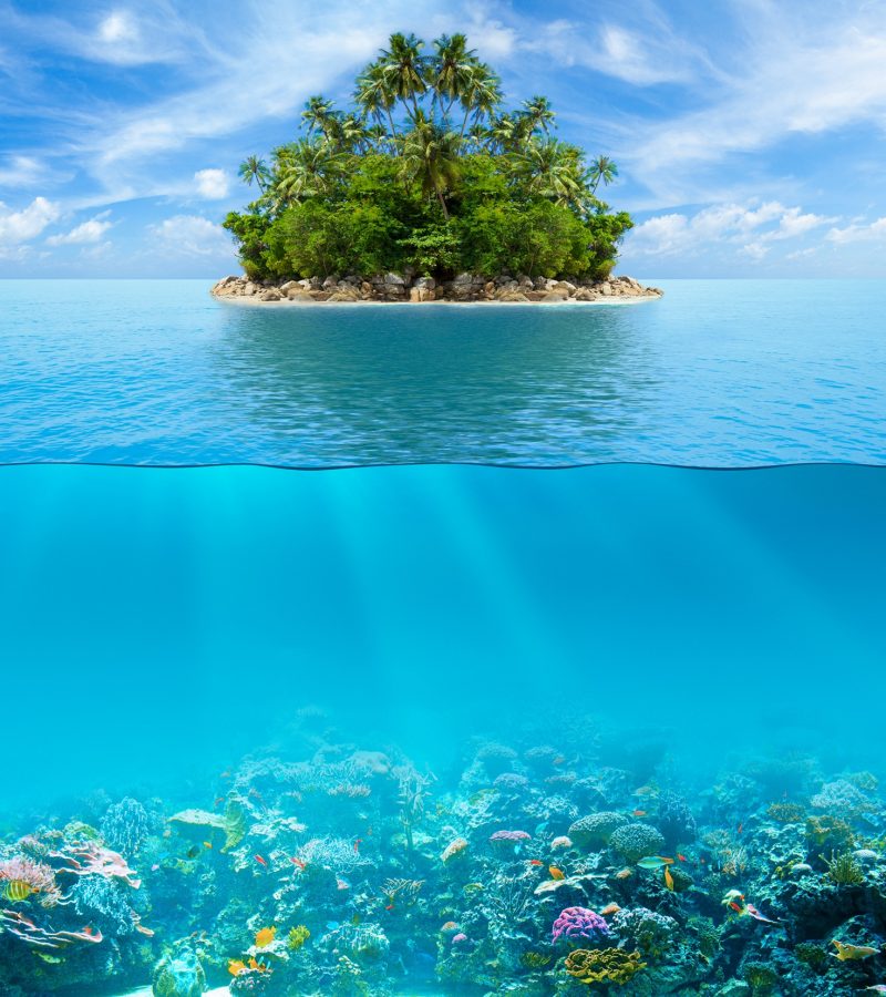 dreamstime_xxl_44480084 dreamstime_xxl_44480084