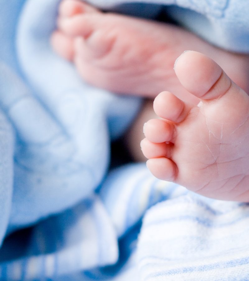 dreamstime_xxl_5669764