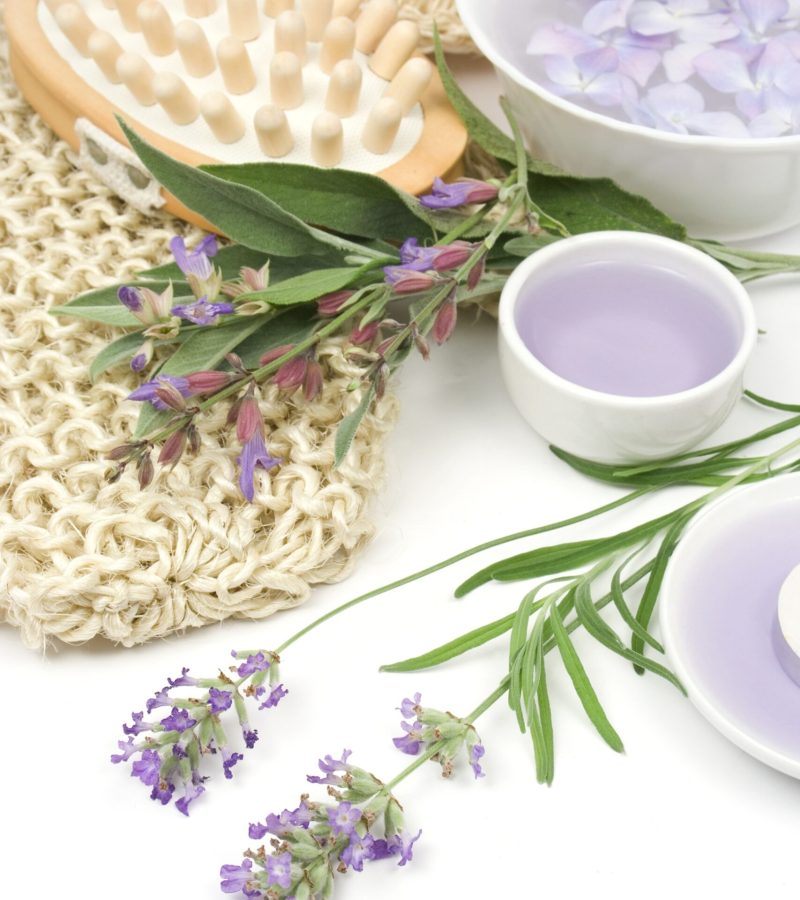 dreamstime_xxl_5743920