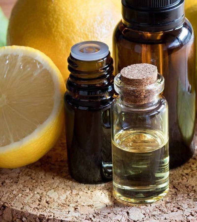 f92c2b095263bfd2ecaf3645a5050fac