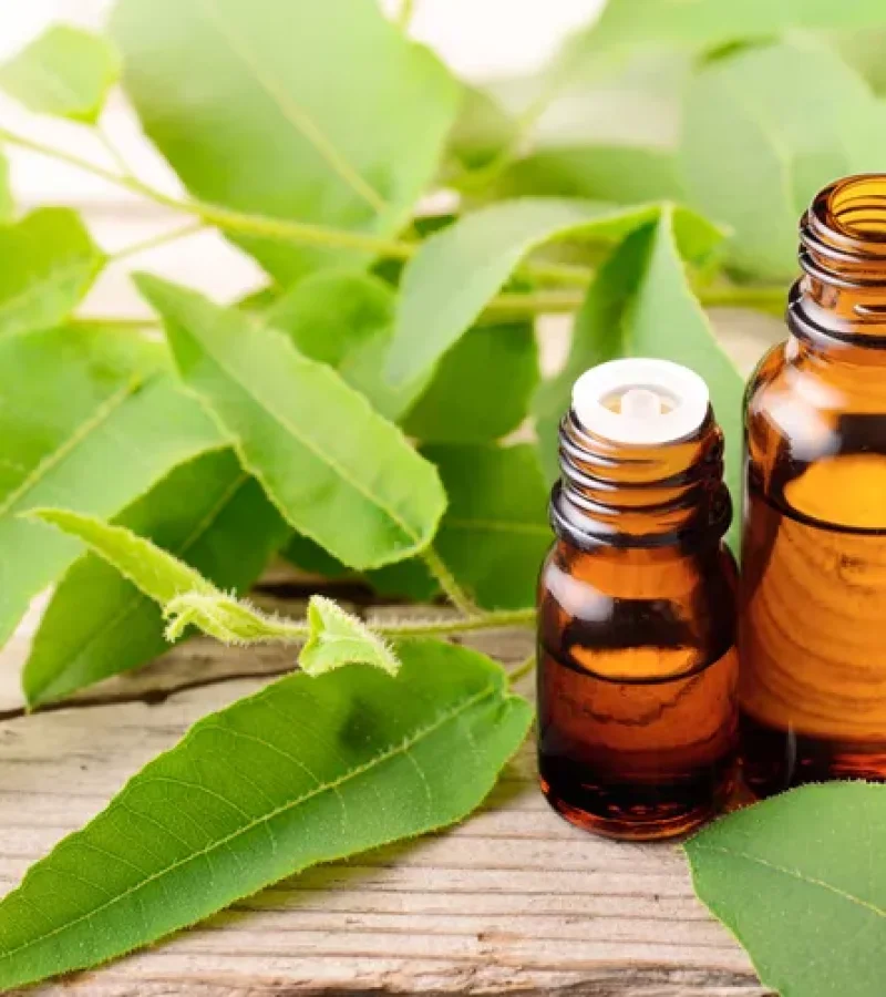 ole-extract-gettyimages-950794390-2000-2e0e33dd216f45eb91bf7fc1d8643f98