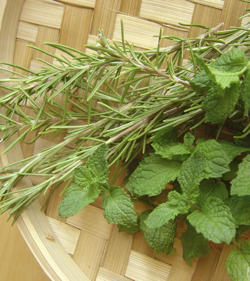 rosemary-mint