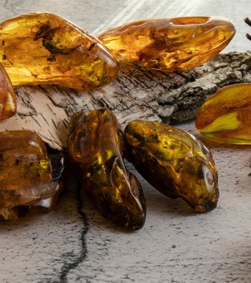 shutterstock_1900661908_QasGRDV